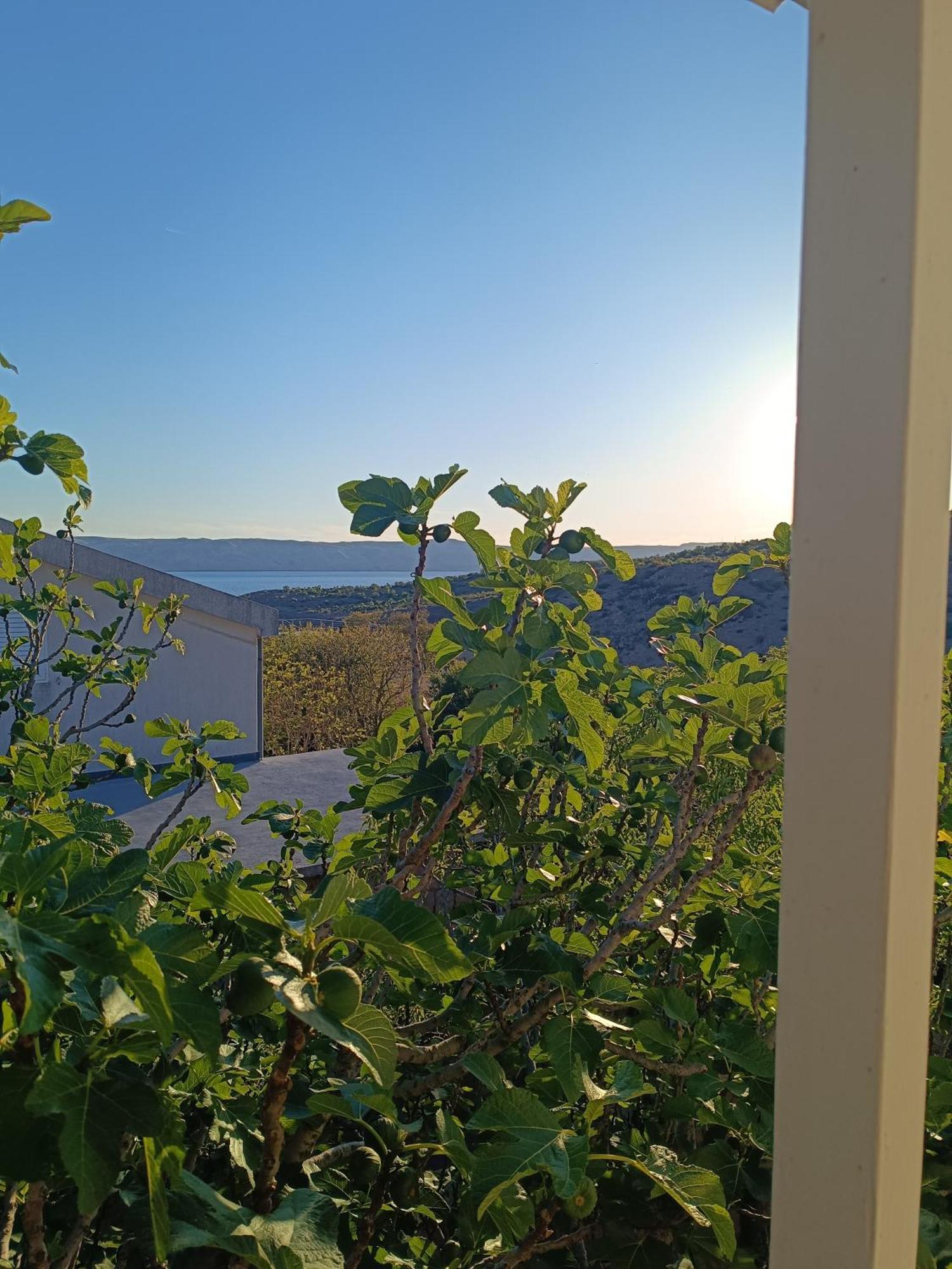 Villa Alexa Cesarica Eksteriør billede